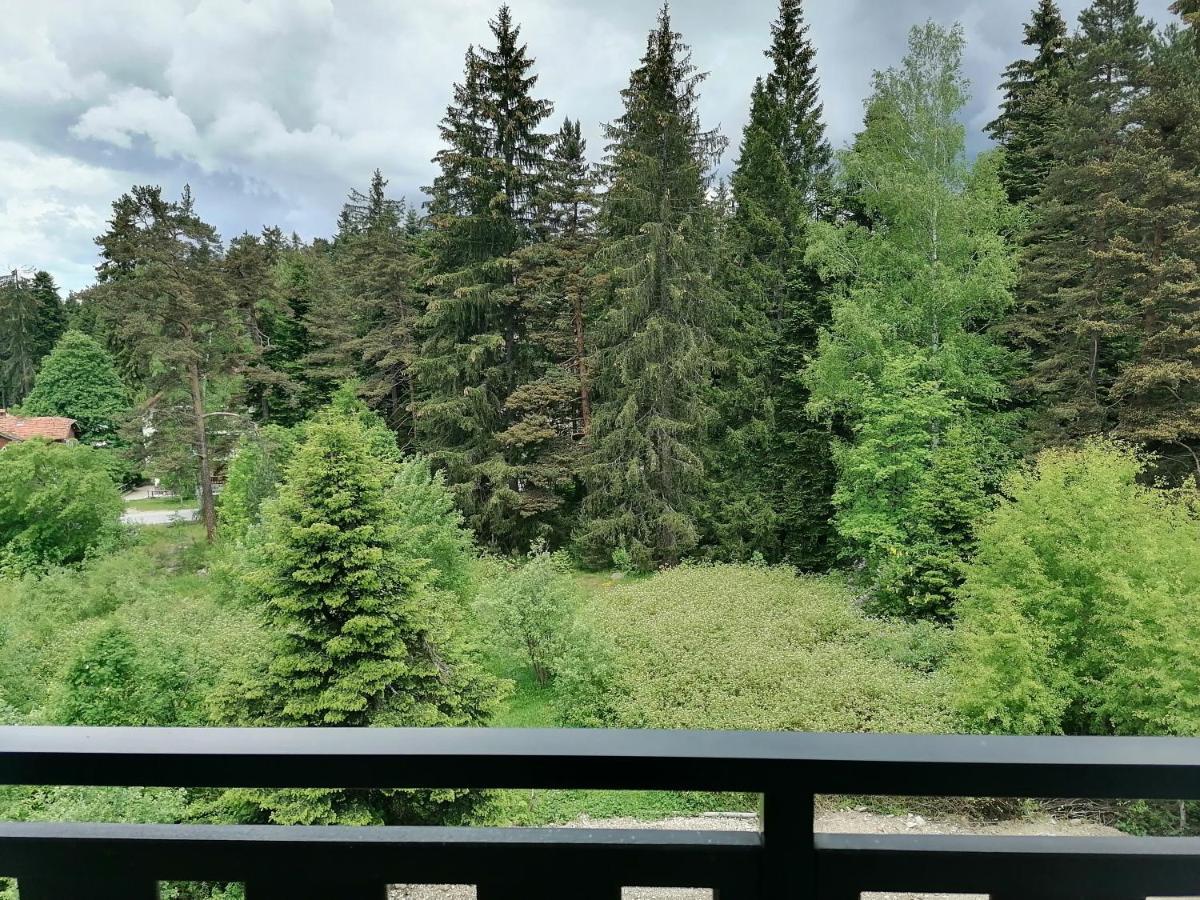 Borovets Gardens Studio D36 Екстериор снимка