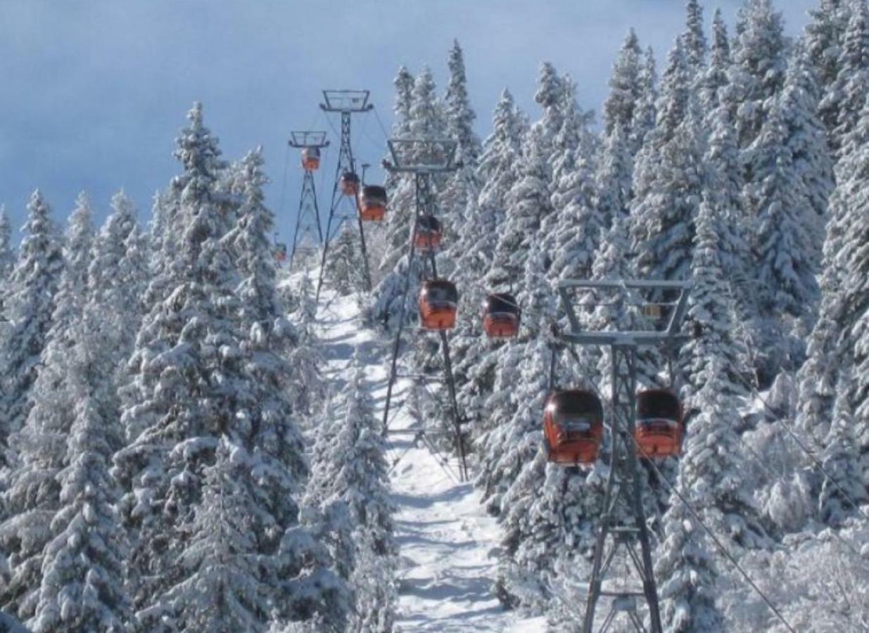 Borovets Gardens Studio D36 Екстериор снимка
